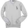 Polo Solid Color Long Sleeve Crew Neck Sweatshirt Men Sweatshirt 710883342-005
