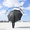 Sugihara супер длинный зонт диаметром 102 см 180 см ручное открытие супер большой размер черный