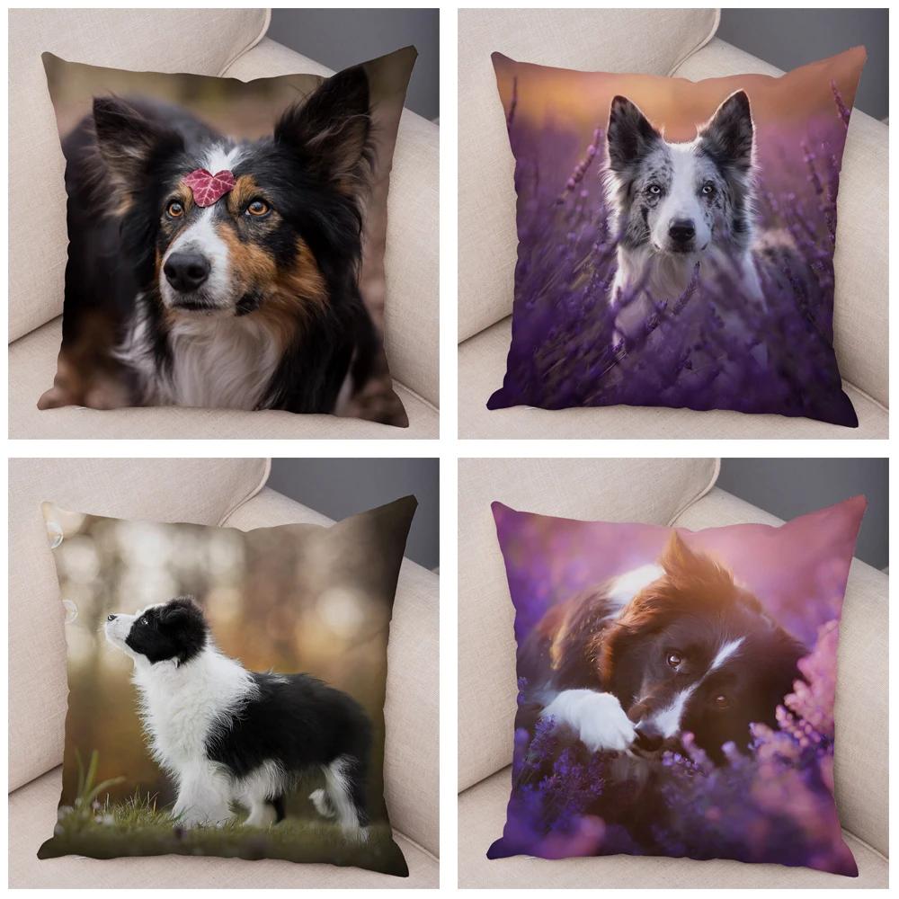 Soft Plush Cute Pet Animal Cushion Cover Scotland Border Collie Pillowcase for Sofa Car Decor Dog Printed Pillow Case