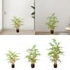 Искусственное бамбуковое дерево Искусственное дерево для гостиной, рабочего стола, для использования в помещении и на улице