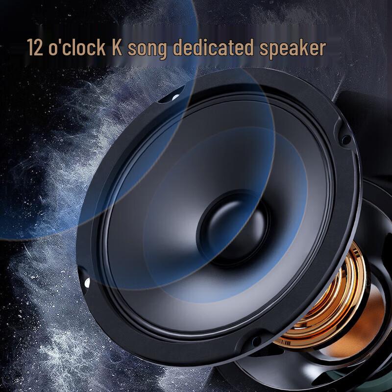 Sansui PE122 Smart Outdoor KTV Speaker System