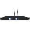 FionTu Professional Dual Wireless Lavalier Microphone System (CN version)