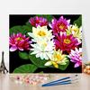 DIY картина по номерам искусство цифры живопись хобби ремесла украшения дома цифровая картина маслом