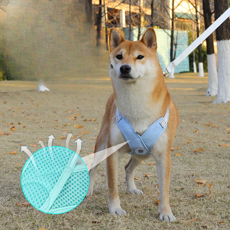 Поводок для собаки, Светоотражающая шлейка-жилет для питомца, Поводок для выгула собак малых и средних пород, Поводок для собак против побега