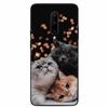Phone Cover For Oneplus 7 Pro Case Lovely Printed TPU Silicon Soft Capa On for One Plus 7 7T Pro Oneplus7 7Pro Protection Covers
