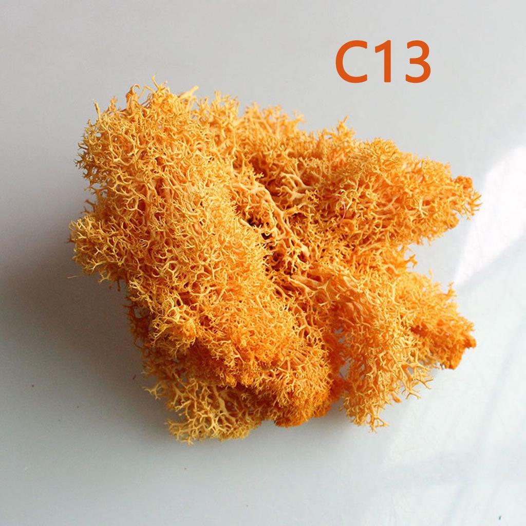 Украшение Рождественский цветок Искусственное растение Мох олений Вечный мох Микроландшафт