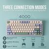 Игровая клавиатура EPOMAKER x Aula F75, прокладка, механическая клавиатура с 5-слойными накладками, ручками, беспроводная, с возможностью горячей замены, RGB, технический сертификат соответствия