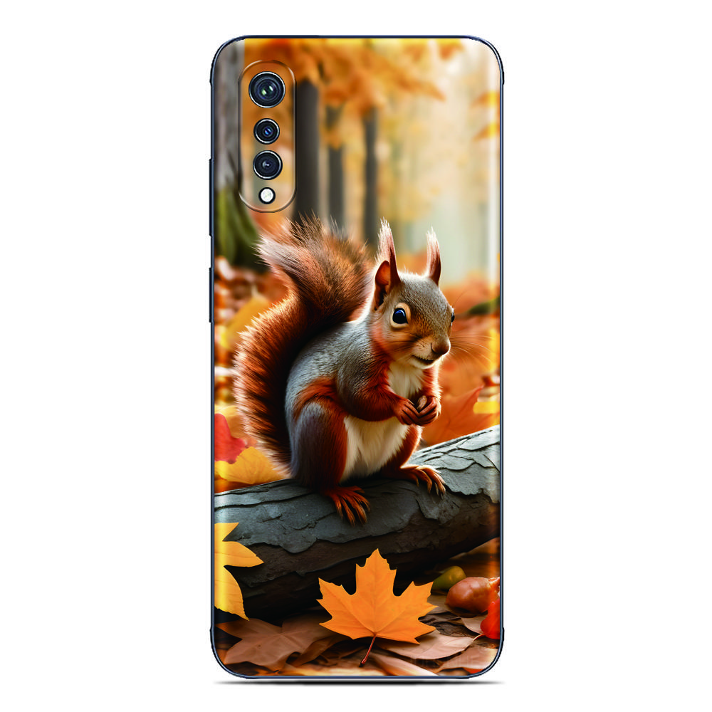 Фоточехол с белкой для Cubot A40 X100 A20 A10 Max 5 3 P80 P50 X70 X50 Note 60 50 21 Nothing CMF Phone 1 2 Pro 2a 3a Lite Чехол