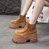 Fashion Ankle Boots for Women New Winter Autumn 10CM Motorcycle Boots Thick Heels Platform Faux Suede Sneakers Short Boots Mujer Botas