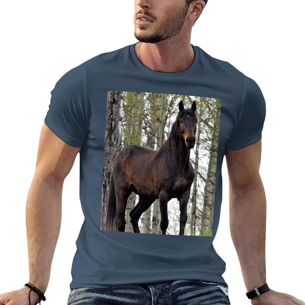 Percheron Thoroughbred Horse Tshirt Anime T Shirts Oversize T Shirts For Unisex Graphic Funny Funny T Shirts Cotton Tshirt