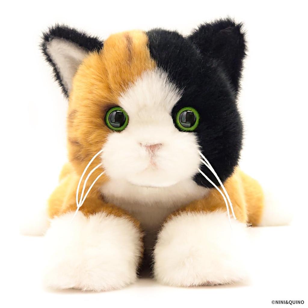 Ninian and Kino Lying Down Calico Approximately 47cm Realistic Plush Looks Just Like the Real Thing Kitten, Long, Cat,