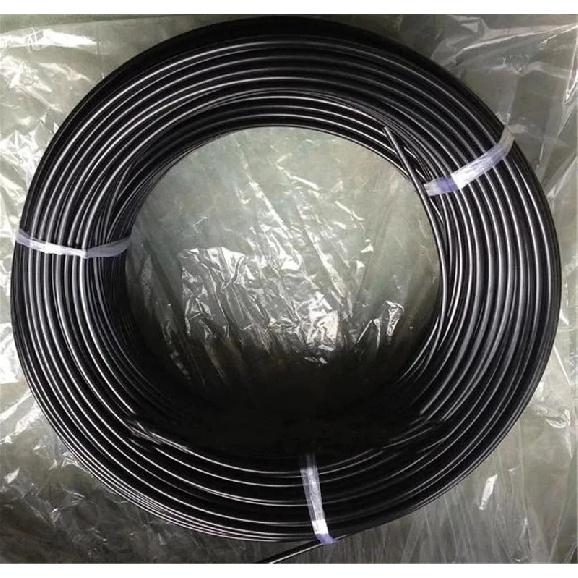 Automotive Fuel Nylon Pipe Methanol Diesel Gas Fuel Assembly Pipe Tube ID3 ID4 ID6 ID8 ID9 ID12 1M
