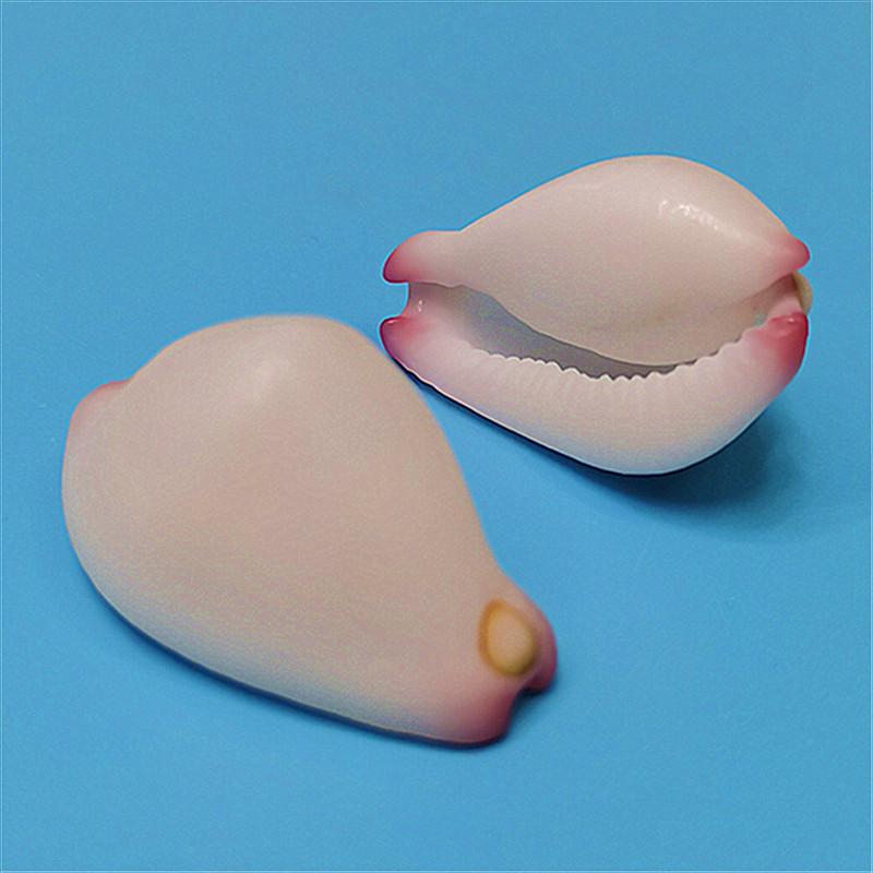 Редкий натуральный экземпляр раковины каури для аквариума или средиземноморского домашнего декора