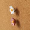 20/30/50Pcs Photo Wall Decor Six-Petal Flower Pushpins Creative Thumb Tacks  School