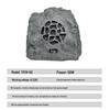 Weishu TPSH-50 Outdoor Rock Speaker