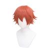 Cosplay In Red Perfect for Short and Includes 3 Bonus a Dedicated and a Memo Heat-resistant Wig, "Second Castle," Lead, Hair, Parties, Disguises.