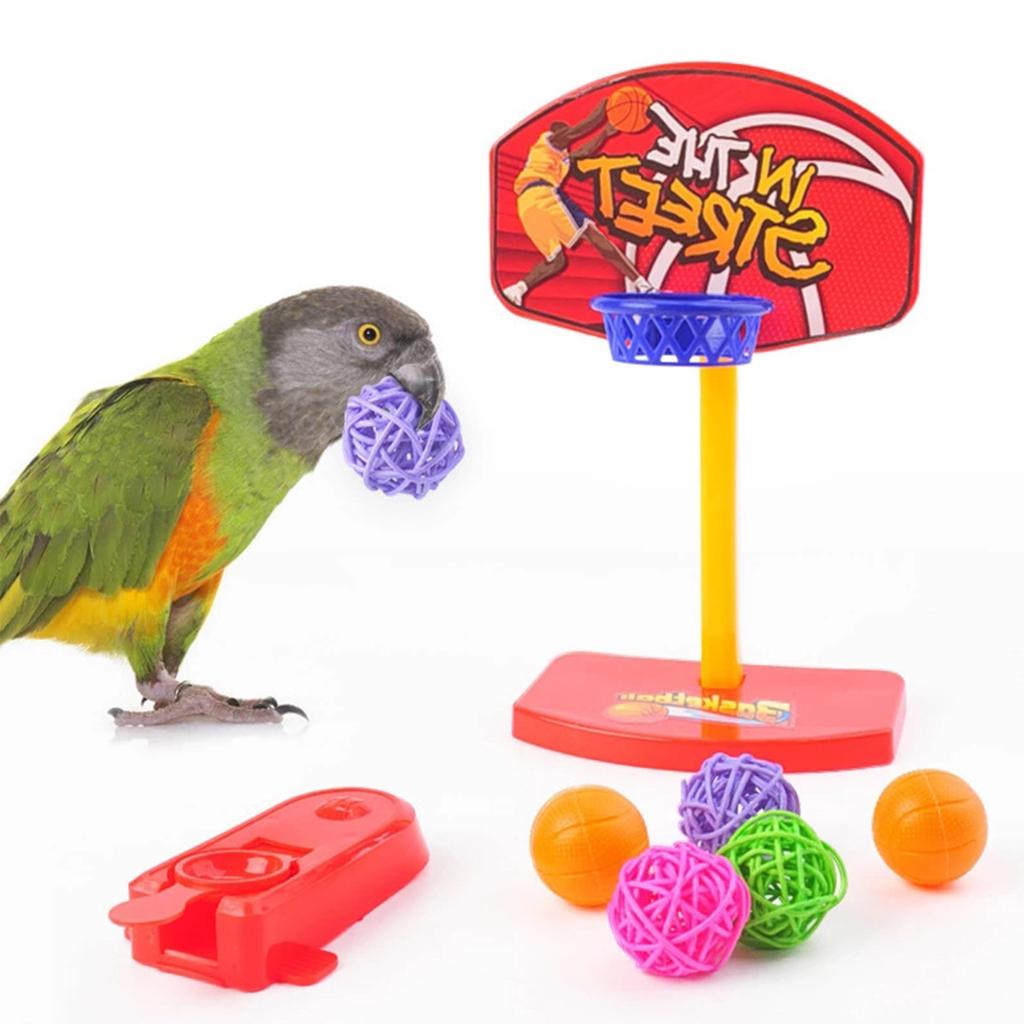 Bird Training Toys Set Parrot Intelligence Toy Colorful Safe Material for Budgie Parakeet Cockatiel Macaw 4 Sorts