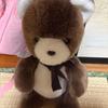 [USED] Cuddly Brown Teddy Bear Made In Japan