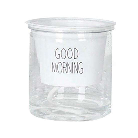 2 комплекта двухуровневого гидропонного Epipremnum Aureum самополивающегося цветочного горшка для домашнего декора