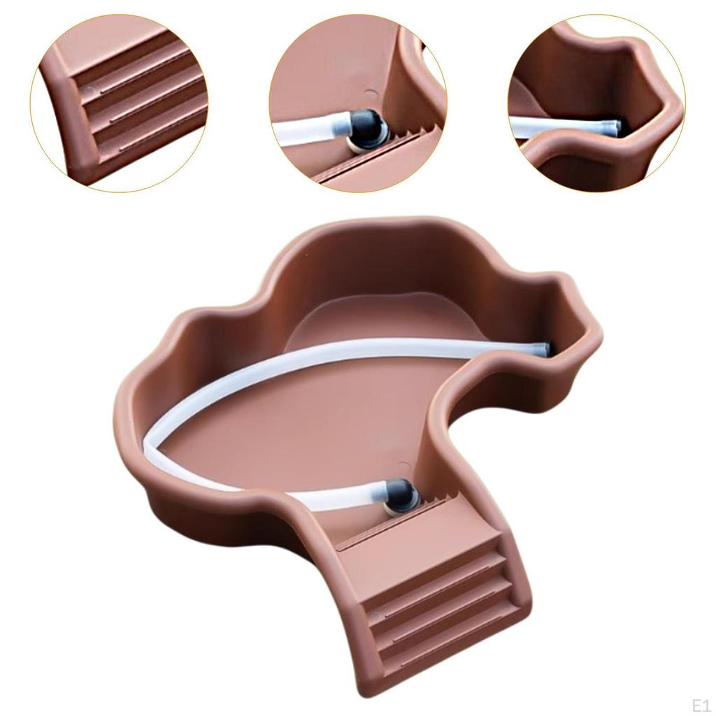 Basking and Water Dish Combo for Bearded Dragon Reptiles