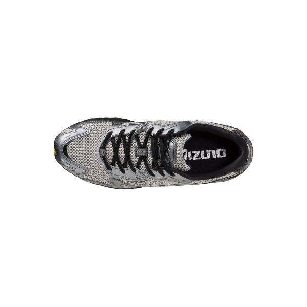 Mizuno Wave Rider 10 Удобные Спортивные Беговые Кроссовки Унисекс Кроссовка Серебристый D1GA261D01