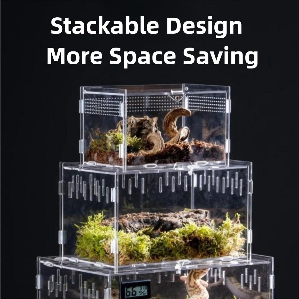 Anti-Escape Reptile Habitat Clear Spider Feeding Case Durable Lizard Breeding Box for Chameleon