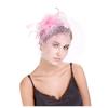 (Projector)Women Flower Mesh Ribbons Feathers Headband Cocktail Tea Party Hat Headwear