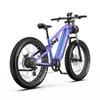 DUOTTS E26 Electric Bicycle 750W Brushless Motor 48V20AH Lithium Battery Mountain Electric Bike 26*4.0-In Fat Tire Aldult E-bike