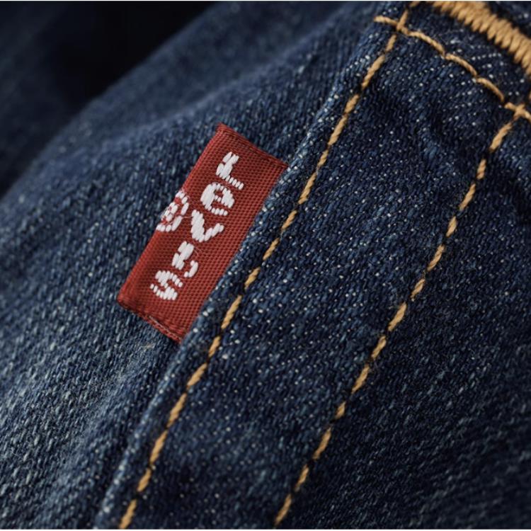 Levi's Jeans Men's Blue Moderate Straight Fit Pants LVS005051064