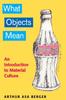 The What Objects Mean : An Introduction To Material Culture Book