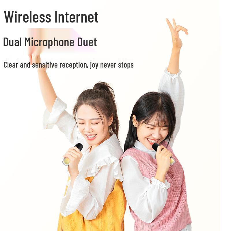 Портативная Bluetooth-колонка для караоке Newsmy MC75 с двумя микрофонами, штекер CN (адаптер в комплекте)