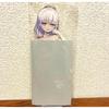 Б/у Акриловый стенд Nukitashi Okki Pop-up Лимитированный Fumino Kotoyori
