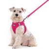 Rabbitgoo Dog Harness and Leash Set for Extra and Large Soft Velcro and Reflective Gentle On the Nighttime Easy To Put On and Take Hand Safe for and