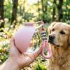 Бутылка для воды для домашних животных, герметичная, портативная, с шариком для воды для собак и складной силиконовой миской, 10 унций, легкий дозатор воды для собак для путешествий, походов, кемпинга