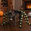Realistic Spider Pet Outfit Halloween Costume for Dog Cat, Hairy Small Dress Up Party Accessory, Festival Cat
