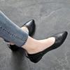 Весенне-Осенние Женские Лоферы с Острым Носом на Низком Каблуке Офисная Обувь Женская Тренд 2026 Молодежная Удобная Шикарная Элегантная Обувь
