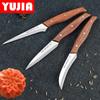 3PCS Food and Fruit Carving Knife Chef Carved Knife Platter Carved Entry Level Carving Knife Set
