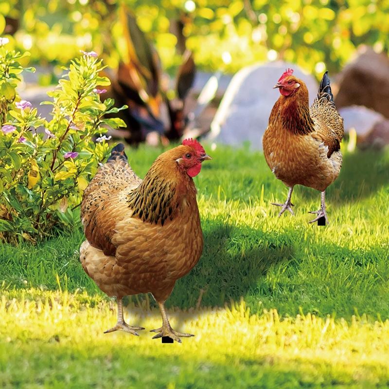 Садовые колышки в виде курицы, акриловые таблички для двора, уличная скульптура, статуэтка, украшения для горшечных растений, садовый вкладыш, декор для двора, лужайки