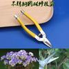 Pruning Shears Orchard and Garden Hand Tools Bonsai Scissors Gardening Machines Pruning Shears Lawn Mower