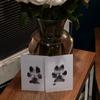 Коврик для отпечатка лапы собаки кошки, отпечаток носа питомца, отпечаток руки, сделай сам, индивидуальный подарок, безопасный нетоксичный, чихуахуа, шнауцер, мопс, аксессуары