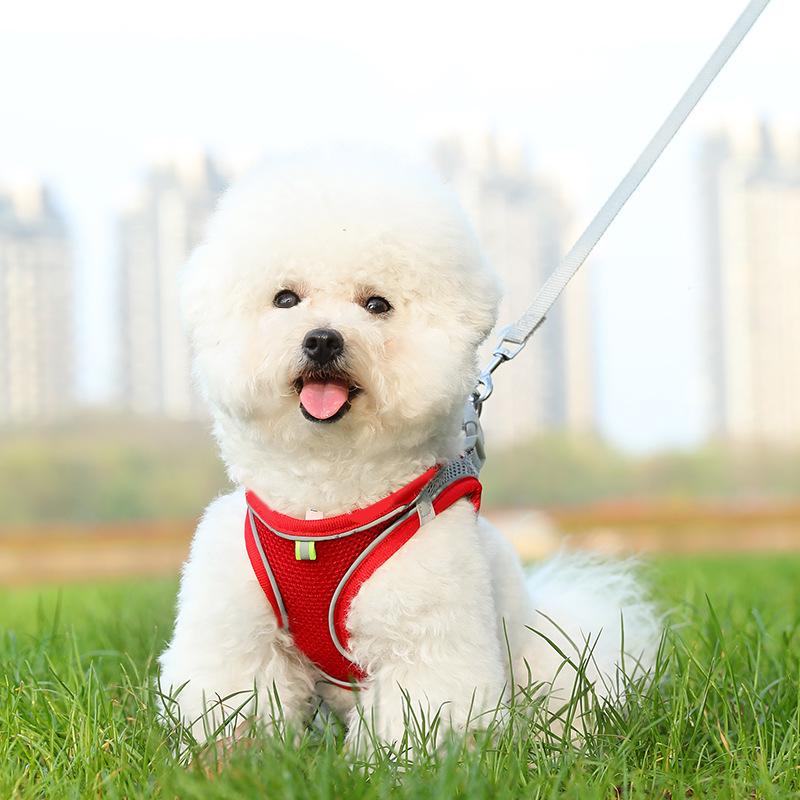 Прочный нейлоновый комплект шлейки и поводка для крупных собак и кошек