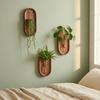 Space Saving Wall Hydroponic Vase Solid Wood Oval Tube Wall Vase Wall Mounted Vase  DIY Plant