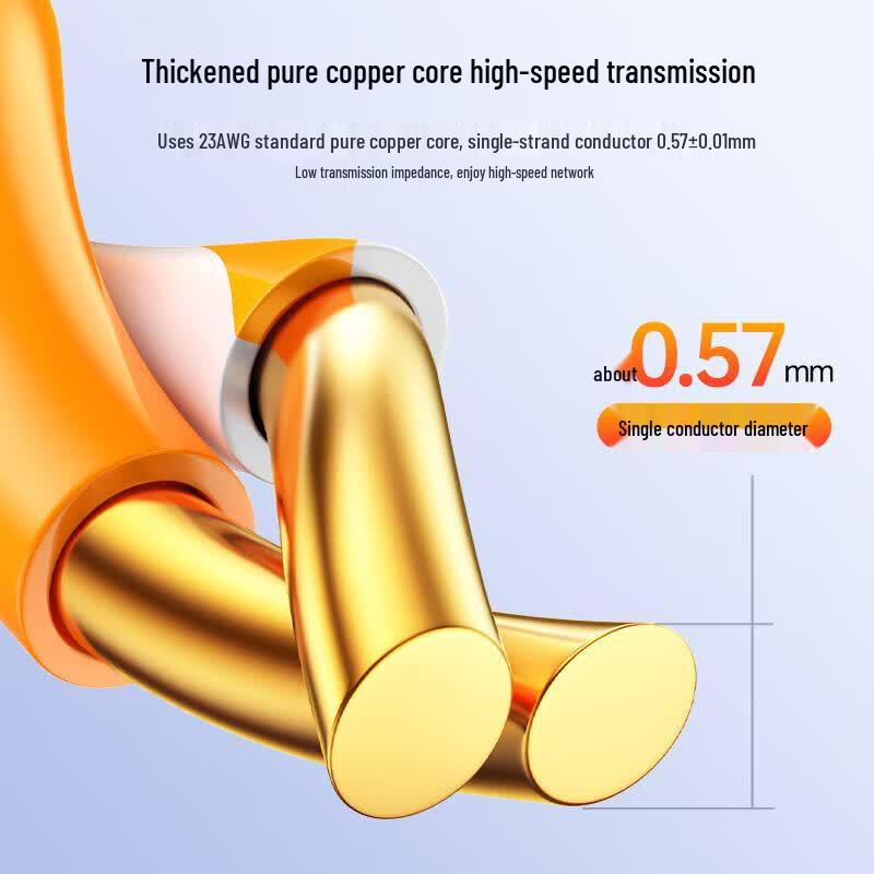 BIAZE Cat6A 10 Gigabit Outdoor Network Cable