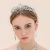 Bridal Hair Accessories Silver Tiara Crown Princess Rhinestone Crown Crystal Headband with Combs