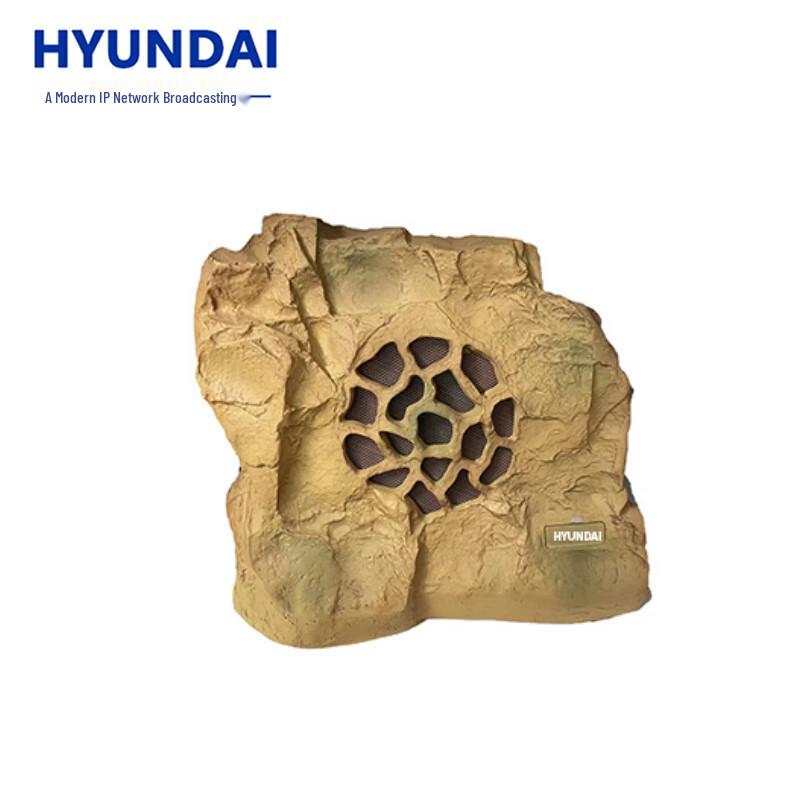Hyundai IP Network Broadcasting Audio Systems CN plug (adapter included) (CN version)