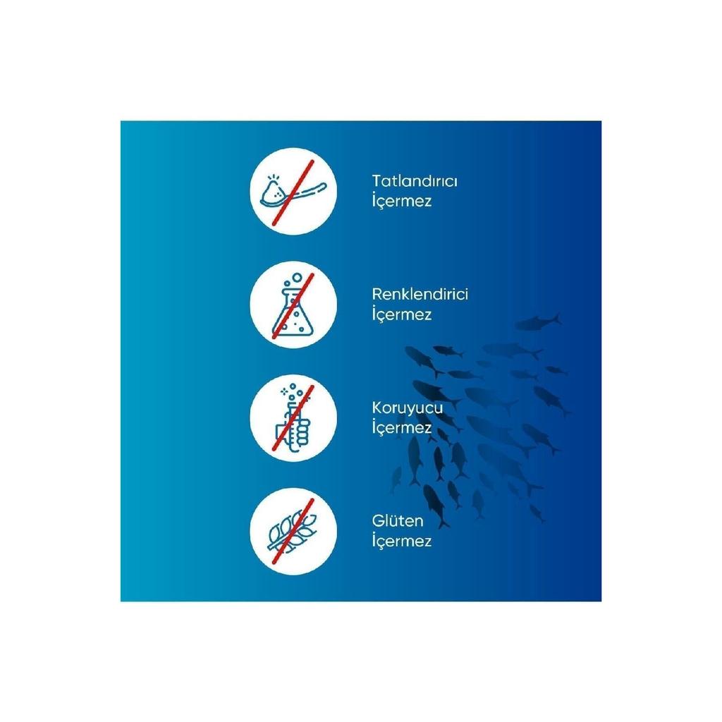 Omega 3 Fish Oil | High Epa