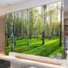 3D Mural Green Birch Forest Photo Wallpaper Living Room Bedroom Sofa TV Background Wallpaper