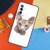 Чехол Сфинкс для Samsung Galaxy A54 A34 A14 A15 A35 A55 A52 A32 A12 A51 A71 A13 A23 A33 A53