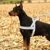 Personalized No Pull Dog Harness  Leather Dog Vest Harness Soft Mesh Padded Harnesses For Small Medium Large Dogs French Bulldog