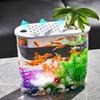 Transparent Micro Landscape Ecological Fish Turtle Tank Hydroponics Aquaponic Planter Breeding Box Aquariums Table Decoration